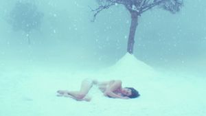White Bird in a Blizzard's poster