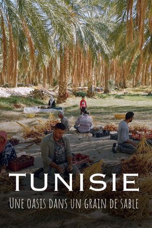 Tunisie : Une oasis dans un grain de sable's poster image