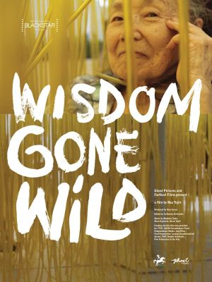 Wisdom Gone Wild's poster