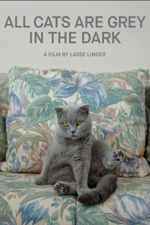 All Cats Are Grey in the Dark's poster