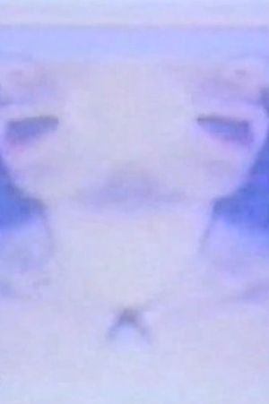 The Heavens's poster