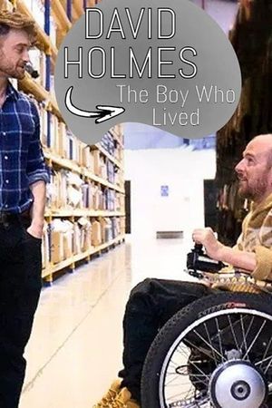 David Holmes: The Boy Who Lived's poster