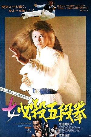 Sister Street Fighter: Fifth Level Fist's poster