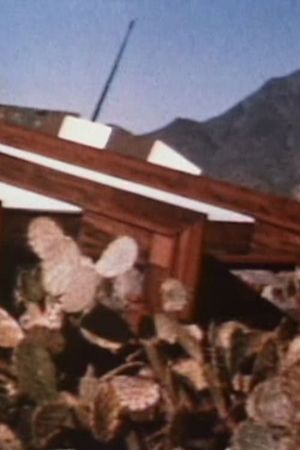 Taliesin - West's poster