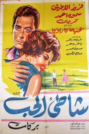 The Shore of Love's poster