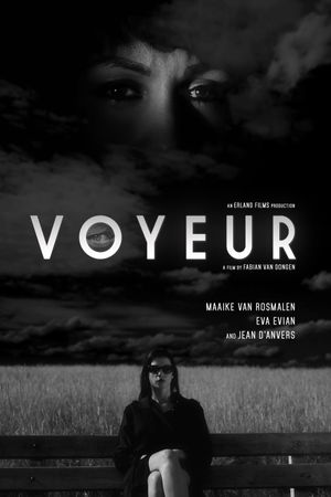 Voyeur's poster