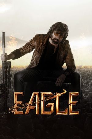 Eagle's poster