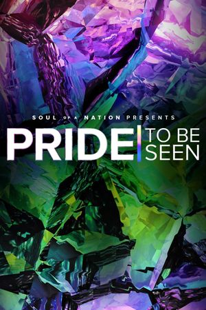 PRIDE: To Be Seen - A Soul of a Nation Presentation's poster