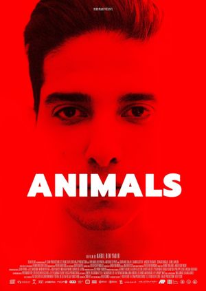 Animals's poster