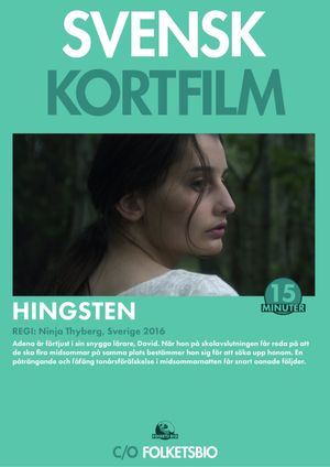 Stallion's poster