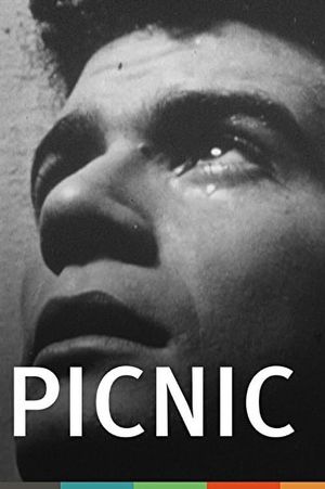 Picnic's poster