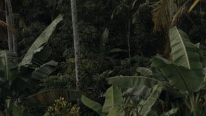 Possibility of Paradise's poster