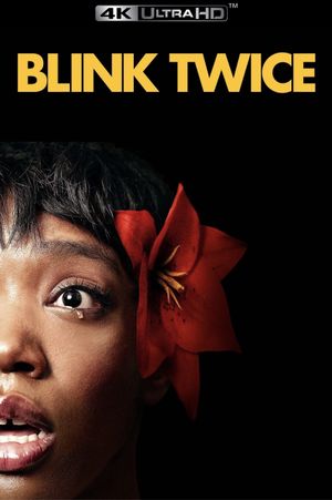 Blink Twice's poster