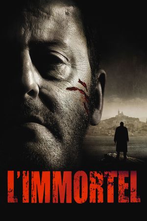 22 Bullets's poster