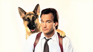 K-9's poster