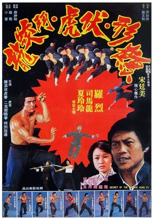 Secret of the Chinese Kung Fu's poster