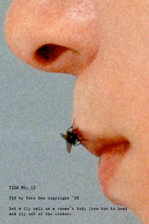 Fly's poster image