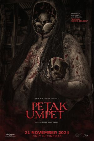 Hide and Seek's poster
