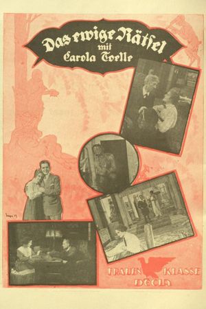 Das ewige Rätsel's poster
