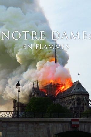 Pompiers de Paris : Sauver Notre-Dame's poster