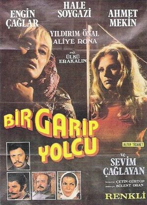 Bir Garip Yolcu's poster