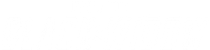 Black Widow's poster