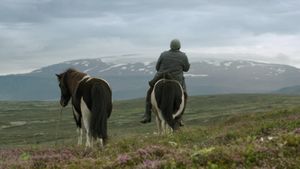 Of Horses and Men's poster