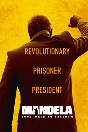 Mandela: Long Walk to Freedom's poster