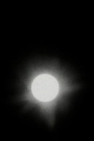 The Transit of Venus's poster