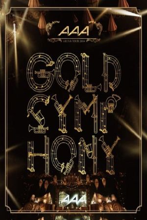 AAA Arena Tour 2014 -Gold Symphony-'s poster