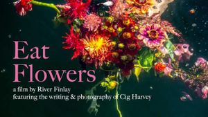 Eat Flowers's poster