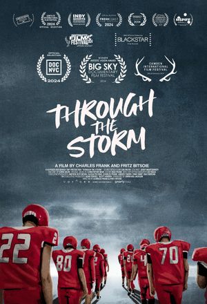 Through the Storm's poster