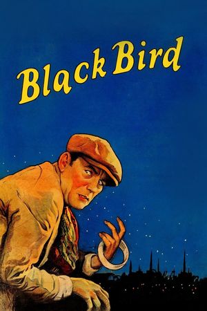 The Blackbird's poster