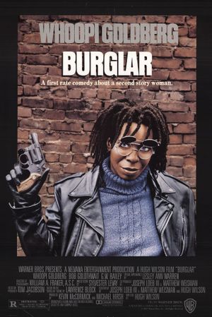 Burglar's poster image