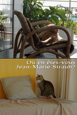 Où en êtes-vous, Jean-Marie Straub ?'s poster