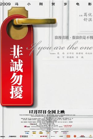 If You Are the One's poster