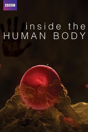 Inside the Human Body's poster image