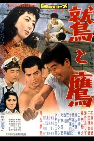 The Eagle and the Hawk's poster