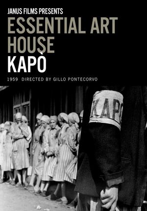 Kapo's poster