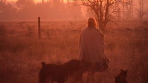 La mujer de los perros's poster