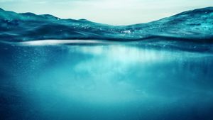 Lessons from the Water: Diving with a Purpose's poster