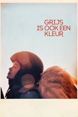 When Grey Is a Colour's poster