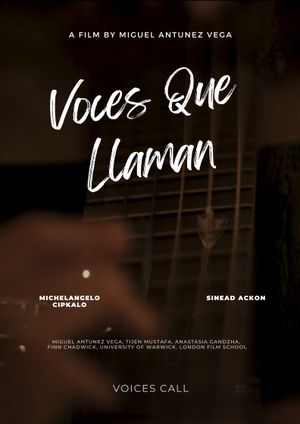 Voices Call's poster