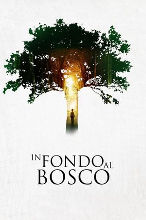 In fondo al bosco's poster