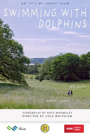 Swimming With Dolphins's poster image