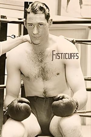 Fisticuffs's poster