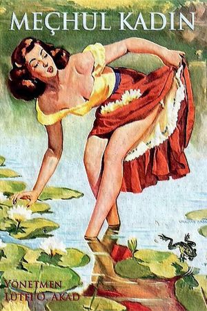 Meçhul kadin's poster