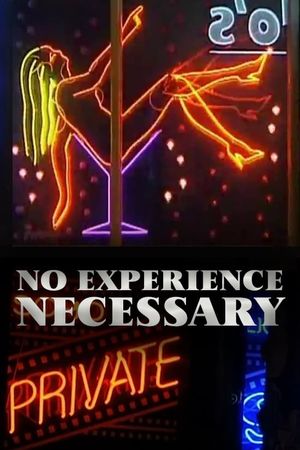 No Experience Necessary's poster image