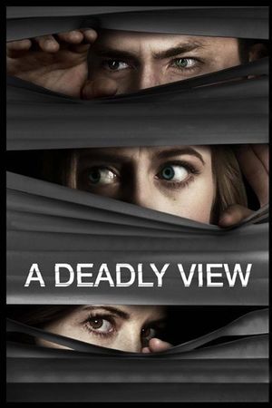 The Baby Stealer's poster