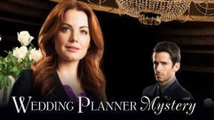 Wedding Planner Mystery's poster